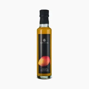 Condimento de Vinagre con Pulpa de Mango