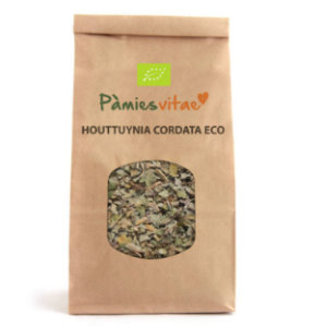 Hierba del pescado (Houttynia cordata), ECO. Pàmies Vitae - Imagen 2