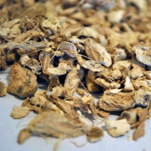 Jengibre Raíz Trit. (Zingiber officinale)