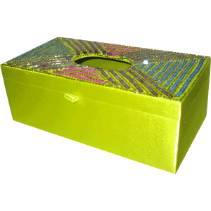 Caja para Pañuelo Verde Lentejuelas de Colores 🇮🇳