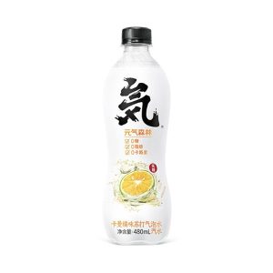 Agua Con Gas Con Extracto De Mandarina yqsl 480ml