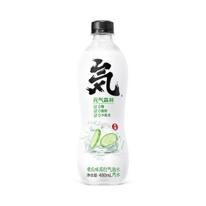 Agua Con Gas  Con Extracto De Pepino  YQSL 480ml